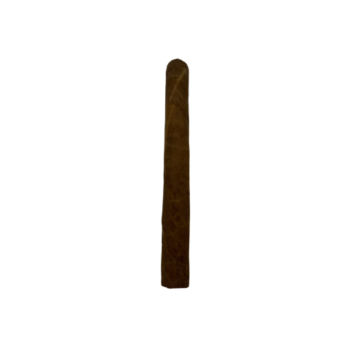 DOÑA E. LINEA CLASICA LIRONDO CORONA