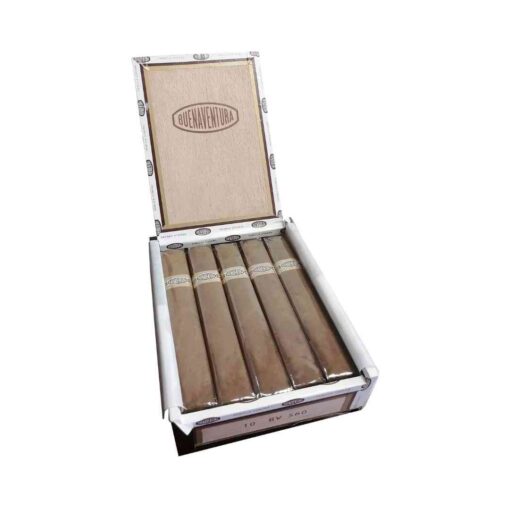 BUENAVENTURA BV 500 ROBUSTO