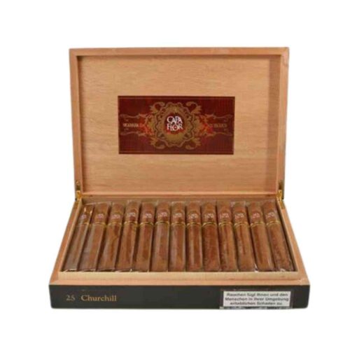 CAPA FLOR CHURCHILL CAJA