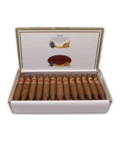 CUABA DIVINOS
