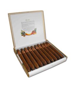 CUABA SALOMONES