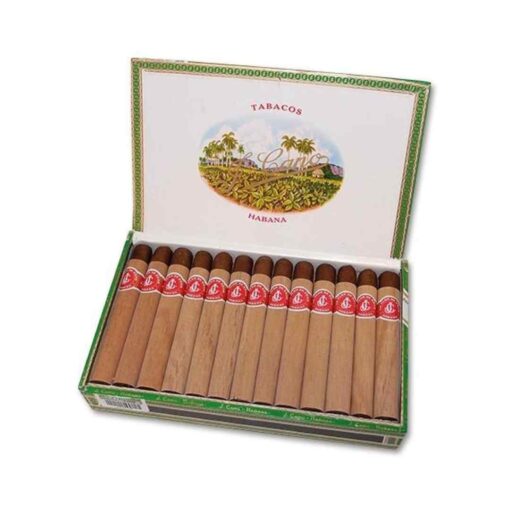 FLOR DE CANO PETIT CORONAS