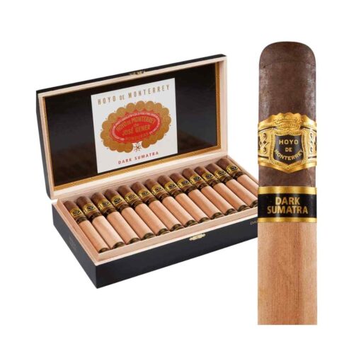 HOYO DE MONTERREY DARK SUMATRA NOCHE