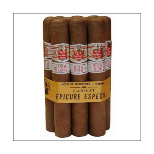 HOYO DE MONTERREY EPICURE ESPECIAL 10