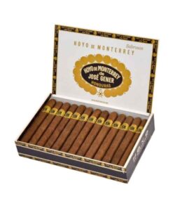 HOYO DE MONTERREY SABROSO