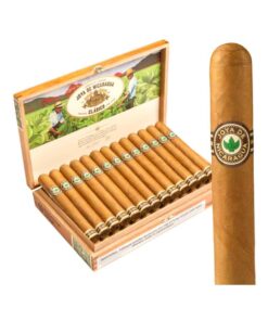 JOYA DE NICARAGUA CLASICO TORO
