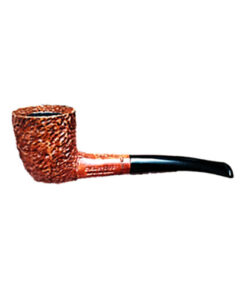 PIPA ENGLISH DARBY