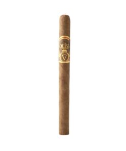 OLIVA SERIE V LANCERO