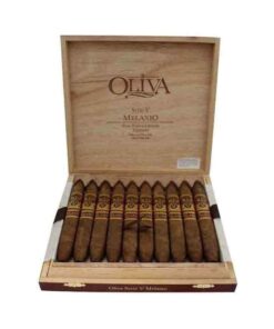 OLIVA SERIE V MELANIO DOBLE FIGURADO