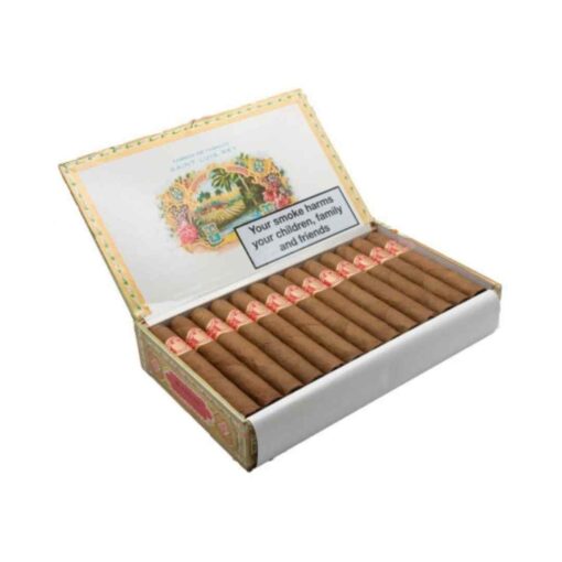 SAINT LUIS REY REGIOS