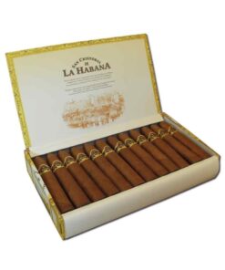 SAN CRISTOBAL DE LA HABANA LA PUNTA