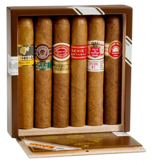 SELECCIÓN ROBUSTOS