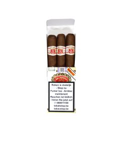 Hoyo de Monterrey Petit Robustos Display