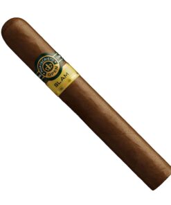 MONTECRISTO OPEN SLAM