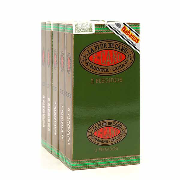 FLOR DE CANO ELEGIDOS DISPLAY