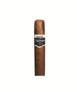 CHAZARO HABANA SHORT