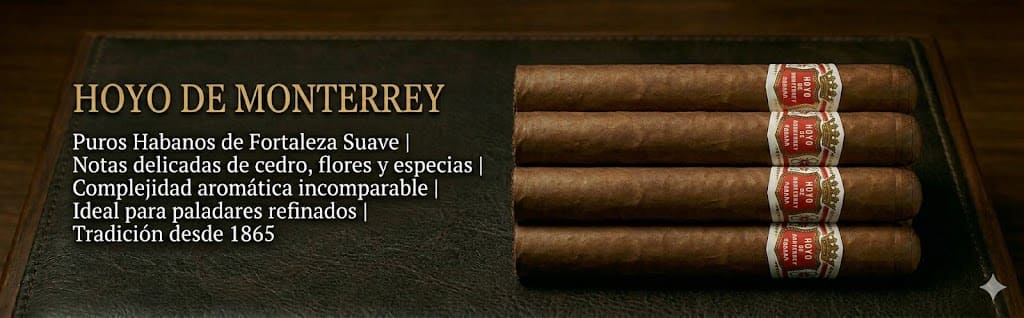 Hoyo de Monterrey - Banner Cintillo Boutique