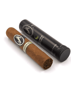 Davidoff Escurio Robusto Tubo puro prémium en tubo de aluminio